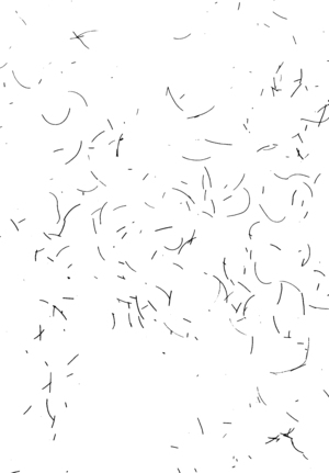 "Striking Beard Over Xerox", 1994