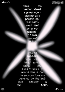 visual system