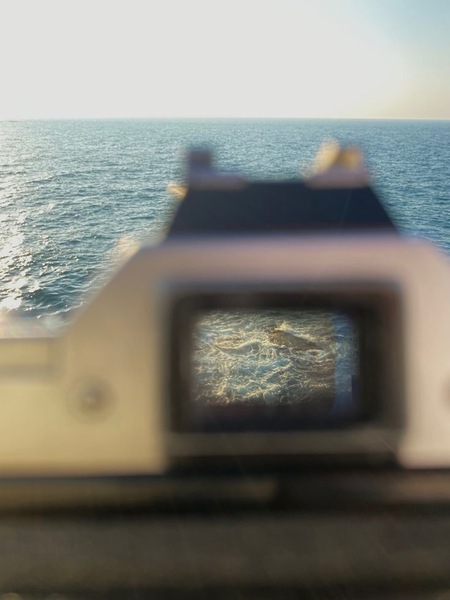 О смыслах и самовыражении 