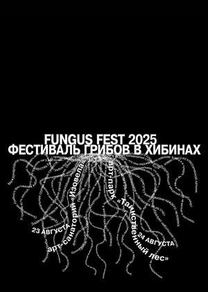 Hibin Mushroom Festival