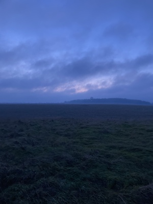 портфолио гриши веселова