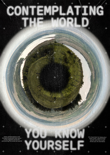 contemplating the world you know yourself