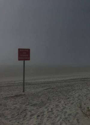 На песчаном дне