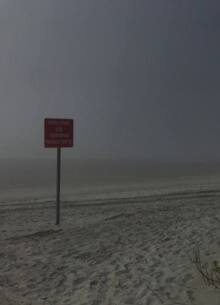 На&nbsp;песчаном дне