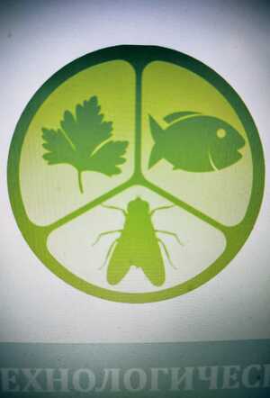 Создание межрегиональной сети биотехнологических кластеров