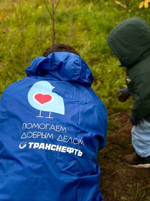 Экологические привычки