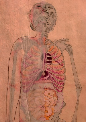 The human body, through the lens of visual medical literature, is 14-19 vol.