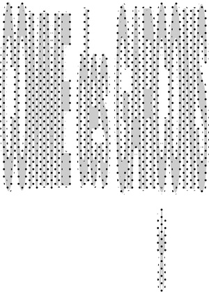 about COMME des GARCONS 