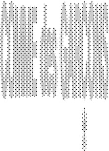about COMME des GARCONS