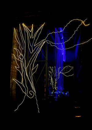 Future Forest Light