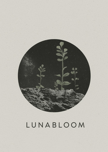 LUNABLOOM LUNABLOOM