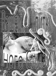 У вашей улитки слизь? Это проблема У вашей улитки слизь? Это проблема