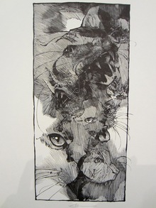 Высокая печать Барри Мосера. Книжные иллюстрации