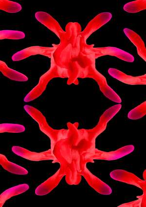 Летний маркет "Вершки-корешки"