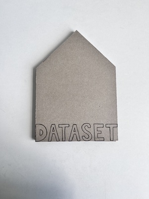 Книга-исследование DATASET