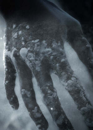 humanimalien — λαμπρὸς γνόφος