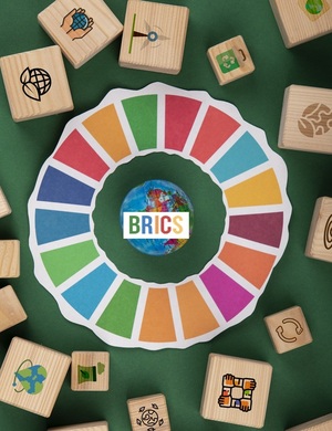 Факультатив "Устойчивое развитие бизнеса в странах БРИКС"