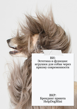 План работы над ВИ и ВКР