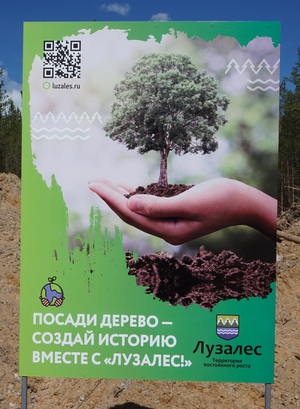 Корпоративная акция "Посади дереву, создай историю"