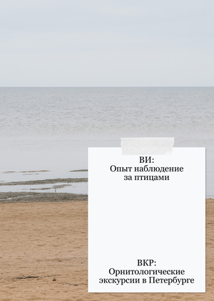 План работы над ВИ и ВКР