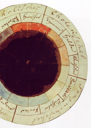 Влияние цвета на восприятие бренда: кейсы Coca-Cola, IKEA, Tiffany