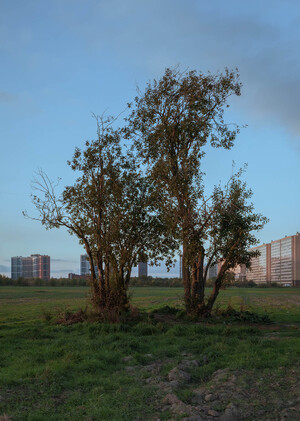 Третий ландшафт