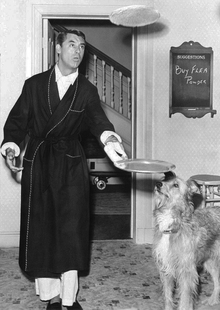 Конец XIX — 1930-е: Америка и эволюция домашней одежды