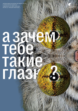 Training posters on the Zoological Museum