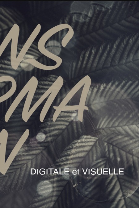 Visual IDENTITY 4 NM-agency