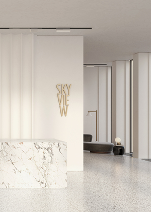 SKYVIEW Проект общественных пространств