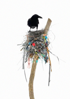 Nesting instinct