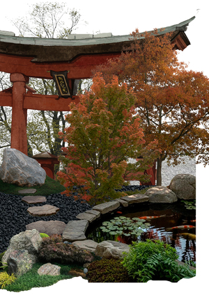 Эскизный проект участка: двор ресторана в японской стилистике