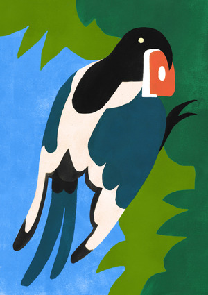 Artist’s Statement