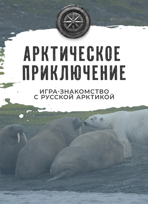 Арктическое приключение