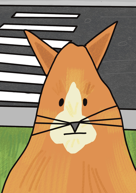 Большая бродилка «По следам кота Боба»