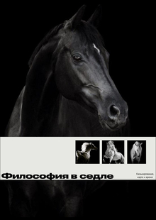Философия в седле