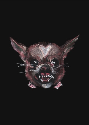 "Femoid": линейка мерча