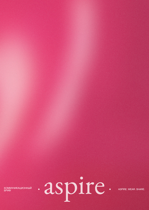 Коммуникационный бриф для концепт-стора Aspire