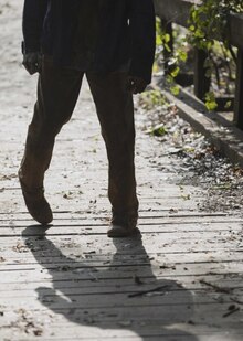 Заключение