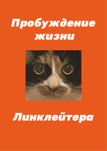 Пробуждение жизни