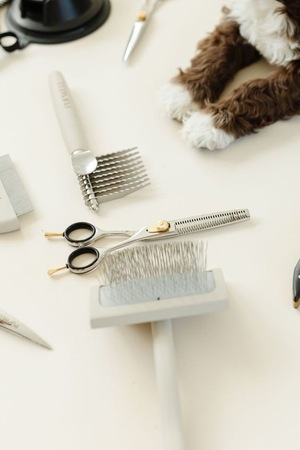 Мультисервисный центр Pet-hub