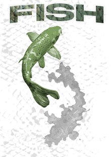 Fish&Collector