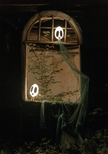 Гатчики: на фестивалях «Лайткод» и «Ночь света»