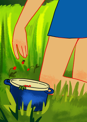 раскадровка