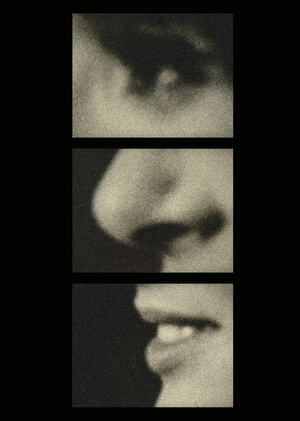 Конструирование реальности в дневниковых фильмах Алена Кавалье