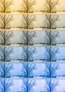 Красота в глазах смотрящего