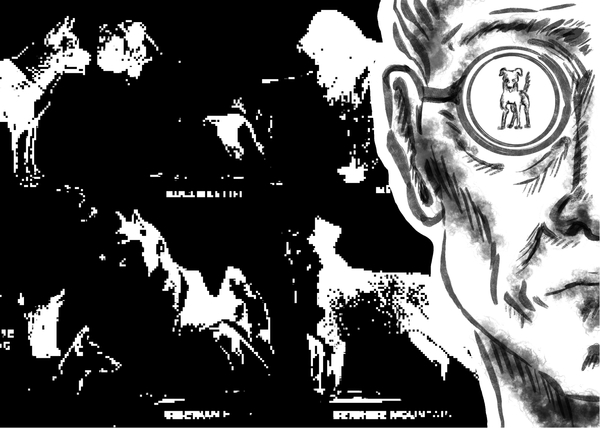 Граница жизни