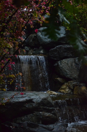 Обратная перспектива