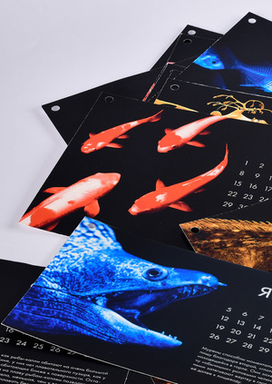 Календарь «Рыбный год»