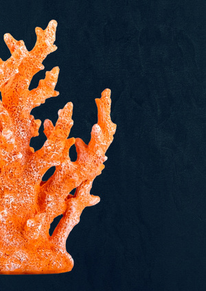 Корабль